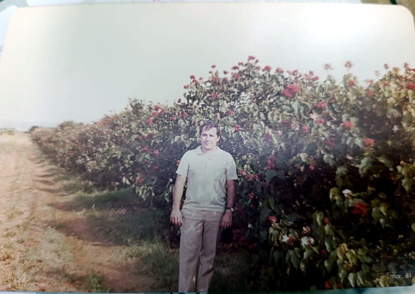 02-fundador-lavoura-urucum-1981.jpg